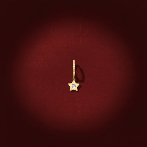 The Chubby Star Earring